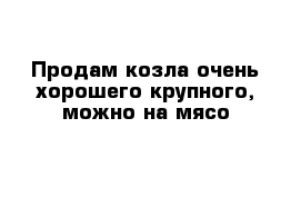 Продам козла очень хорошего крупного, можно на мясо